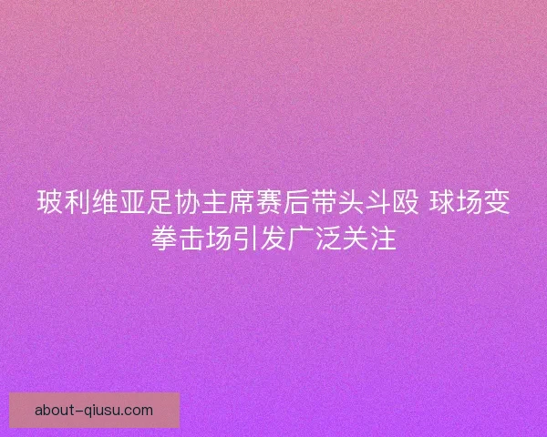 玻利维亚足协主席赛后带头斗殴 球场变拳击场引发广泛关注